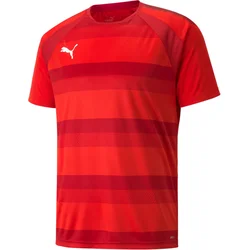 PUMA Dres  rdeča / temno rdeča / bela