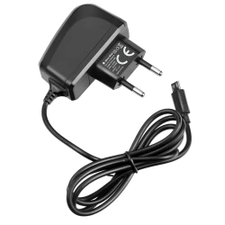 Hišni polnilec micro USB 2A