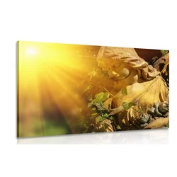 Slika angel s sončnimi žarki - 150x100