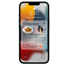 APPLE outlet pametni telefon iPhone 13 mini 4GB/512GB, Midnight