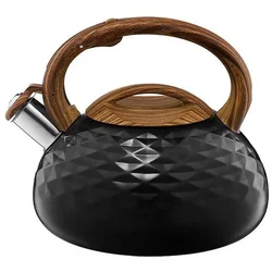 Ambition Grelnik vode 50861 Golf 2,3 l mat črne barve