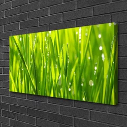 tulup.si Slika na platnu Grass nature rastlin 100x50 cm