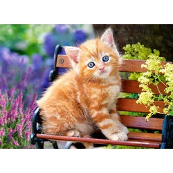 Castorland - Puzzle Ginger Kitten - 120 - 180 kosov