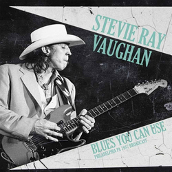 Stevie Ray Vaughan Blues You Can Use (2 LP)
