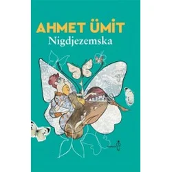 Nigdjezemska