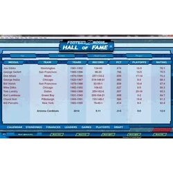 Football Mogul 15