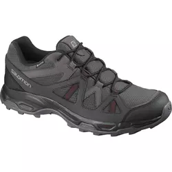Salomon RHOSSILI GTX, muške cipele za planinarenje, siva