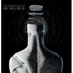 The Shadows Gone Out - Final Alarm/John Doe (LP)