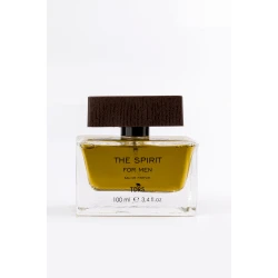 TUDORS Muški parfem The Spirit 100ml
