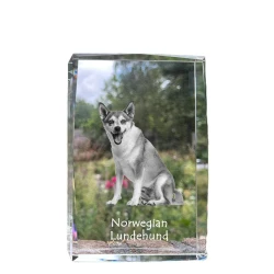 Artdog Norveški puffin dog, norveški lundehund - kristal s fotografijo psa, fotografija v steklu, sodobna fotografska razstava Art-Dog