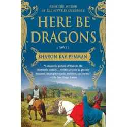 HERE BE DRAGONS