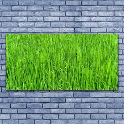 tulup.si Slika na platnu Narava green grass turf 125x50 cm