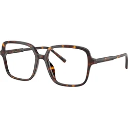 Dolce & Gabbana DG3442 502