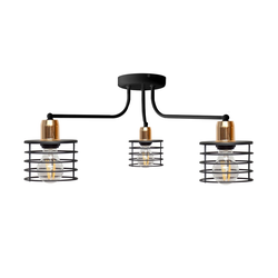 Plafonski luster EDISON 3xE27/15W/230V