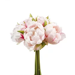Potonika - šopek x8 24cm roza - roza - do 25 cm
