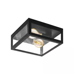 Eglo 99122 - Plafonsko svetlo za kupatilo AMEZOLA 2xE27/40W/230V IP44