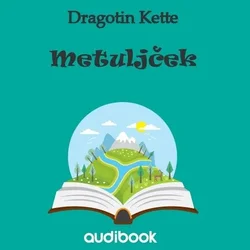 AUDIBOOK Avdio knjiga: Metuljček