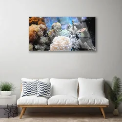 tulup.si Slika na steklu Barrier reef narava 100x50 cm 4 obešalnika