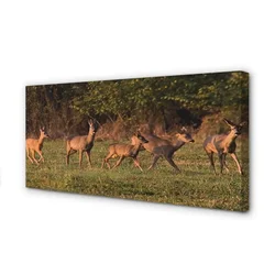 tulup.si Slika na platnu Deer golf sunrise 125x50 cm