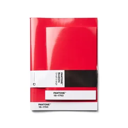 Pantone zvezki