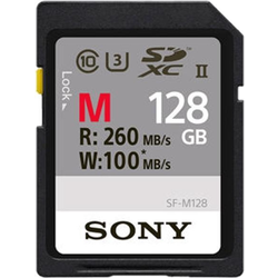 SONY spominska kartica SDXC FLASH 128GB Class10 (SFG1M)