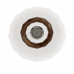 R-A70 Blutut Plafonjera + KONTROLER