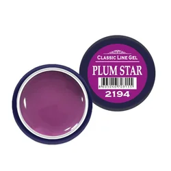 Classic Line Color Gel Plum Star