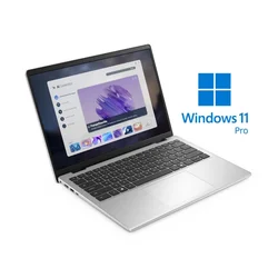DELL Pro 14 Essential PV14255 Silver (FHD+ IPS 300nits, Ryzen AI 7 350, 16GB, 1TB SSD, Backlit, Win 11 Pro)