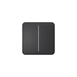 Ajax Systems 52165.143.GP SideButton (2-gang) [55] - grafitna