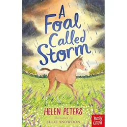 Foal Called Storm