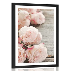 Plakat s paspartujem romantične vrtnice - 20x30 white