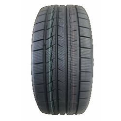 Gopro Ev-Ice ( 235/50 R20 104V XL EV )