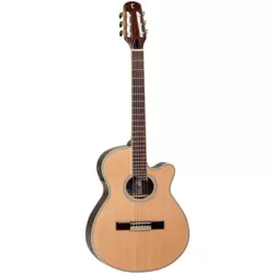 Tanglewood TWCE1 Discovery Natural ozvučena klasična gitara