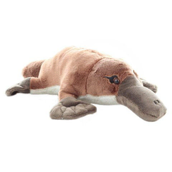 Plush Ptakopysk