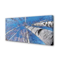 tulup.si Slika na platnu Breza nebo 125x50 cm