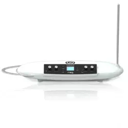 Moog Theremini ®