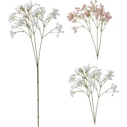 Ukrasna Biljka Gypsophila