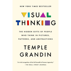 VISUAL THINKING