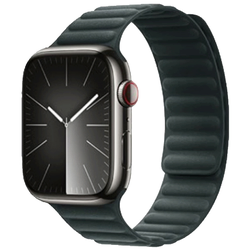 hoco. Magnetni kaiš za iWatch, 42/44/45/49mm - iWatch WA24 Cyan