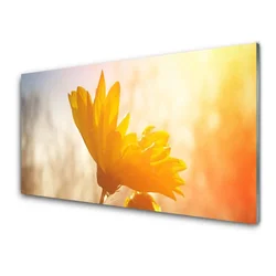 tulup.si Steklena slika Sončnica 100x50 cm 2 obešalnika