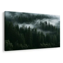 Slika meglen iglasti gozd - 60x40