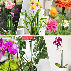 Cool Mango Opora za rastline (5 kosov) - planty, premium