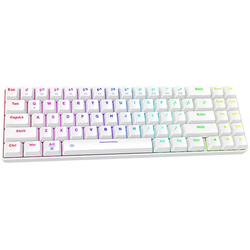 Wireless mechanical keyboard Dareu EK871 Bluetooth + 2.4G RGB (white)