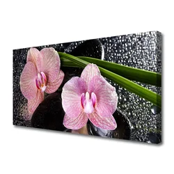 tulup.si Slika na platnu Orchid rože orhideja zen 125x50 cm
