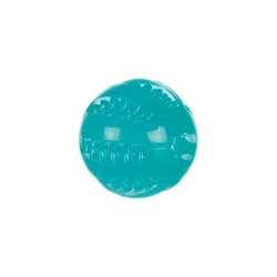 Trixie Denta Fun Lopta 6cm – TPR Guma, Sa Menta Ukusom