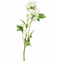 Dekordom Cvet elder 1183181/3 - white - edl ( 044763 )