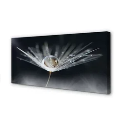 tulup.si Slika na platnu Drop regrat makro 120x60 cm