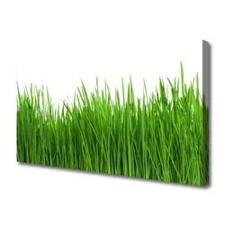 tulup.si Slika na platnu Grass nature rastlin 125x50 cm