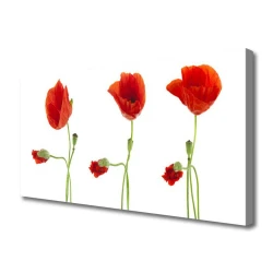 tulup.si Slika na platnu Rastlinskih mak naravi 100x50 cm