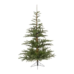 Everlands Jelka Nobilis fir 150cm-102cm 68.9200